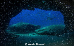 Diving in La Graciosa, part of Europe's largest marine re... by Alexia Dunand 